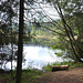 Lac de Lispach Vosges