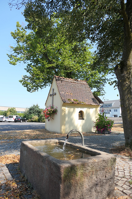 Tirschenreuth, Vorholzkapelle (PiP)