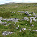 Merrivale Prehistoric Settlement