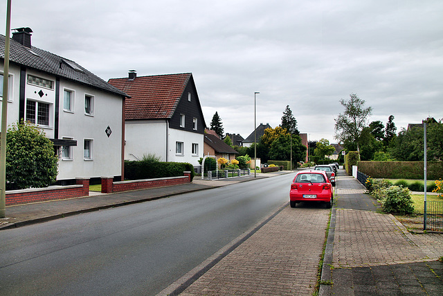 Menzelstraße (Hamm-Westtünnen) / 6.07.2024