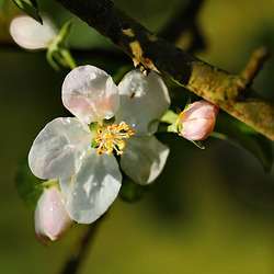 HD-IP-5D3 2507zus-liceq-erwfa-scha HD-IP-5D3 2507zus-liceq-erwfa-scha