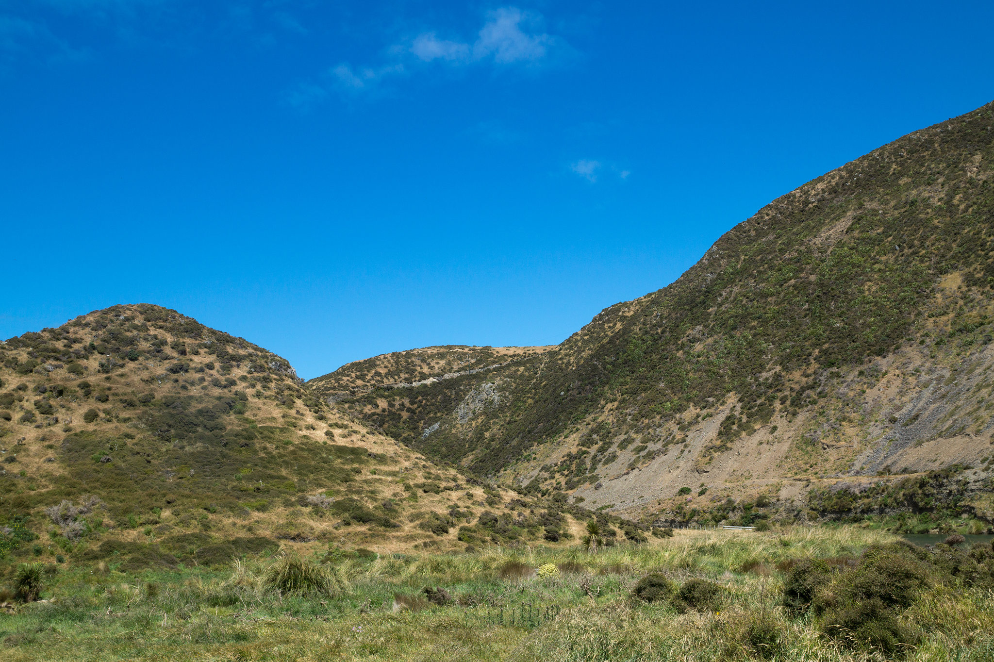 Neuseeland - Wainuiomata