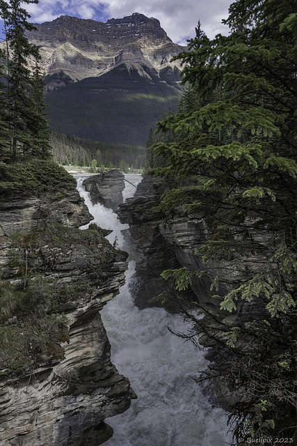 Athabasca Falls (© Buelipix)