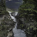 Athabasca Falls (© Buelipix)