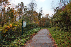 Herbstlicher Weg auf dem Tippelsberg (Bochum-Riemke) / 11.11.2023