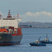 An Auckland Harbour Evening (3) - 22 February 2015