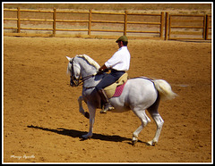 A Campo Abierto-II