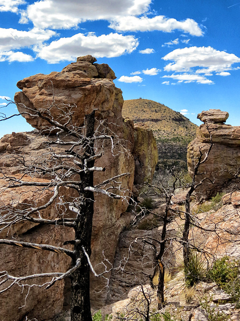 The Lookout On Sugarloaf Mountain