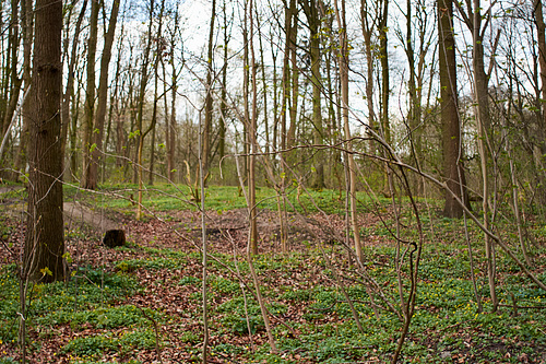 -kurpark-00690-co-02-04-17