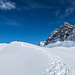 E - Alp Montagna