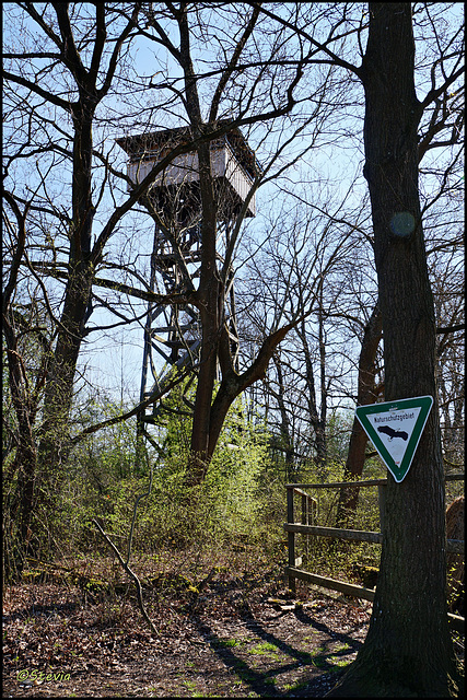 Der Mettnau-Aussichtsturm