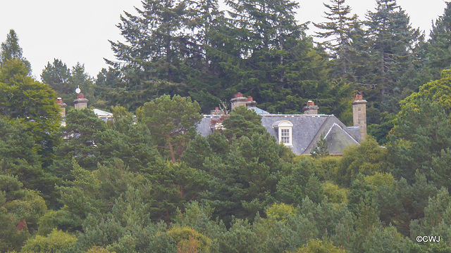 The roof of Blervie Mansion emerging from the trees...