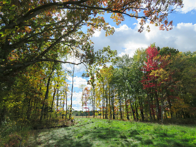 The disappearing natural scenery.