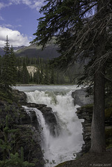 Athabasca Falls (© Buelipix)