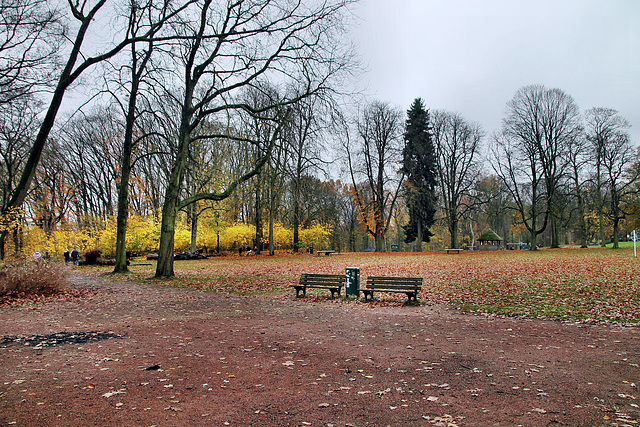 Hohenstein, Parkanlage am Berger-Denkmal (Witten) / 26.11.2023