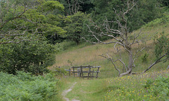 HFF~ Hubberhome fenced bridge