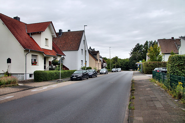 Menzelstraße (Hamm-Westtünnen) / 6.07.2024