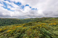 Dartmoor - 20150831