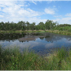 Pietzmoor ➀ Pietzmoor ➀