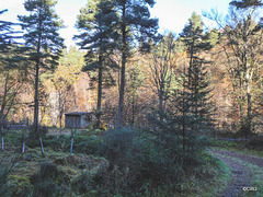 The Dunearn Burn walk - Earl of Moray's estate