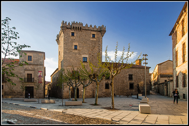 Torreón de los Guzmanes