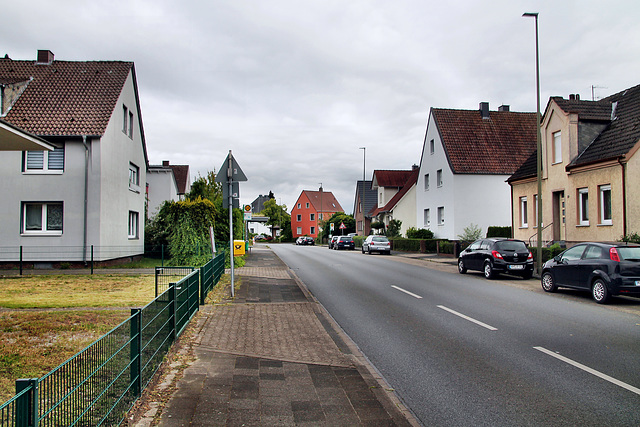 Menzelstraße (Hamm-Westtünnen) / 6.07.2024