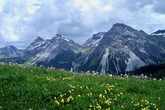 Bergwelt bei Arosa