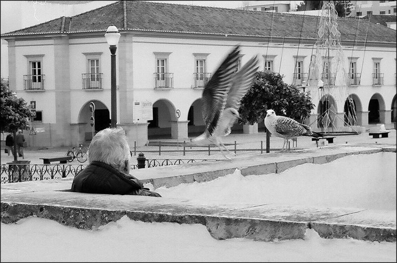 Tavira analógica