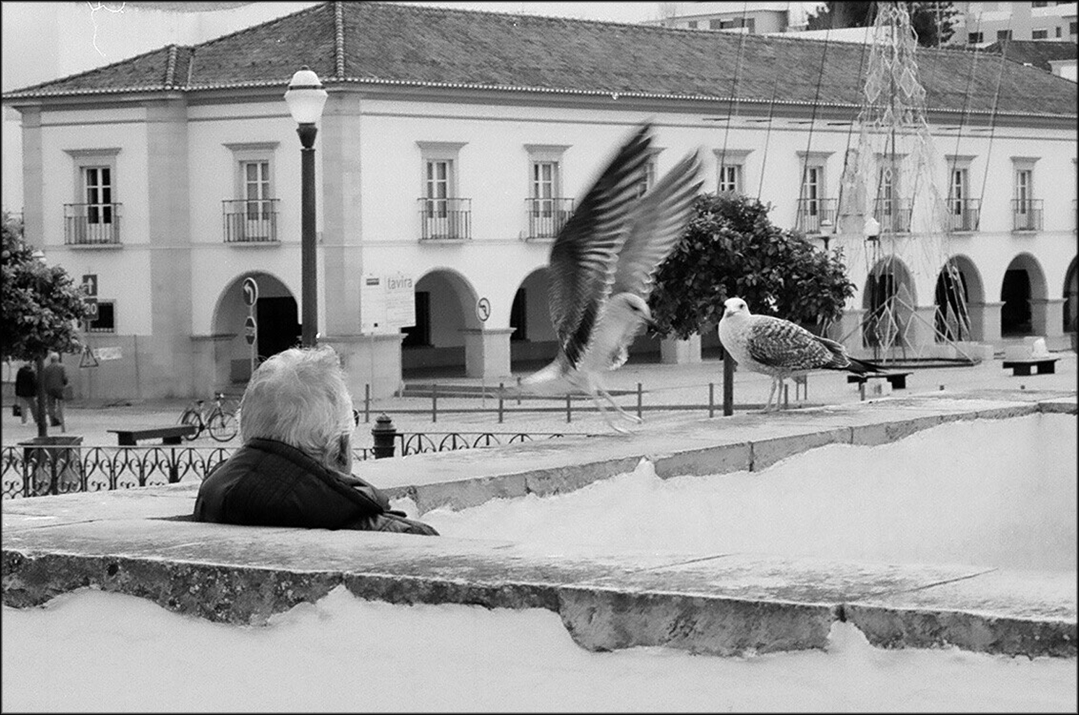 Tavira analógica