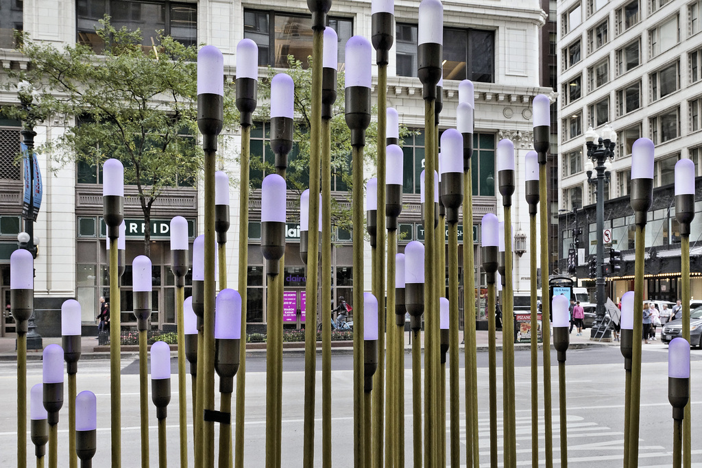 Chicago Loop Lightscape – State Street, Chicago, Illinois, United States