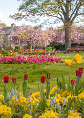 Starbank Park in Spring