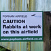 Popham Airfield (Rabbits) - 1 October 2020