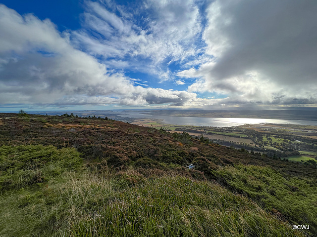 The Cromarty Firth