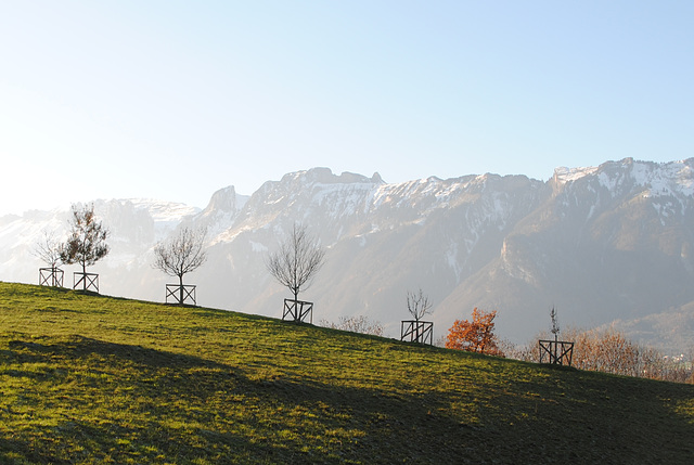 Oberfresch Richtung schweizer Berge