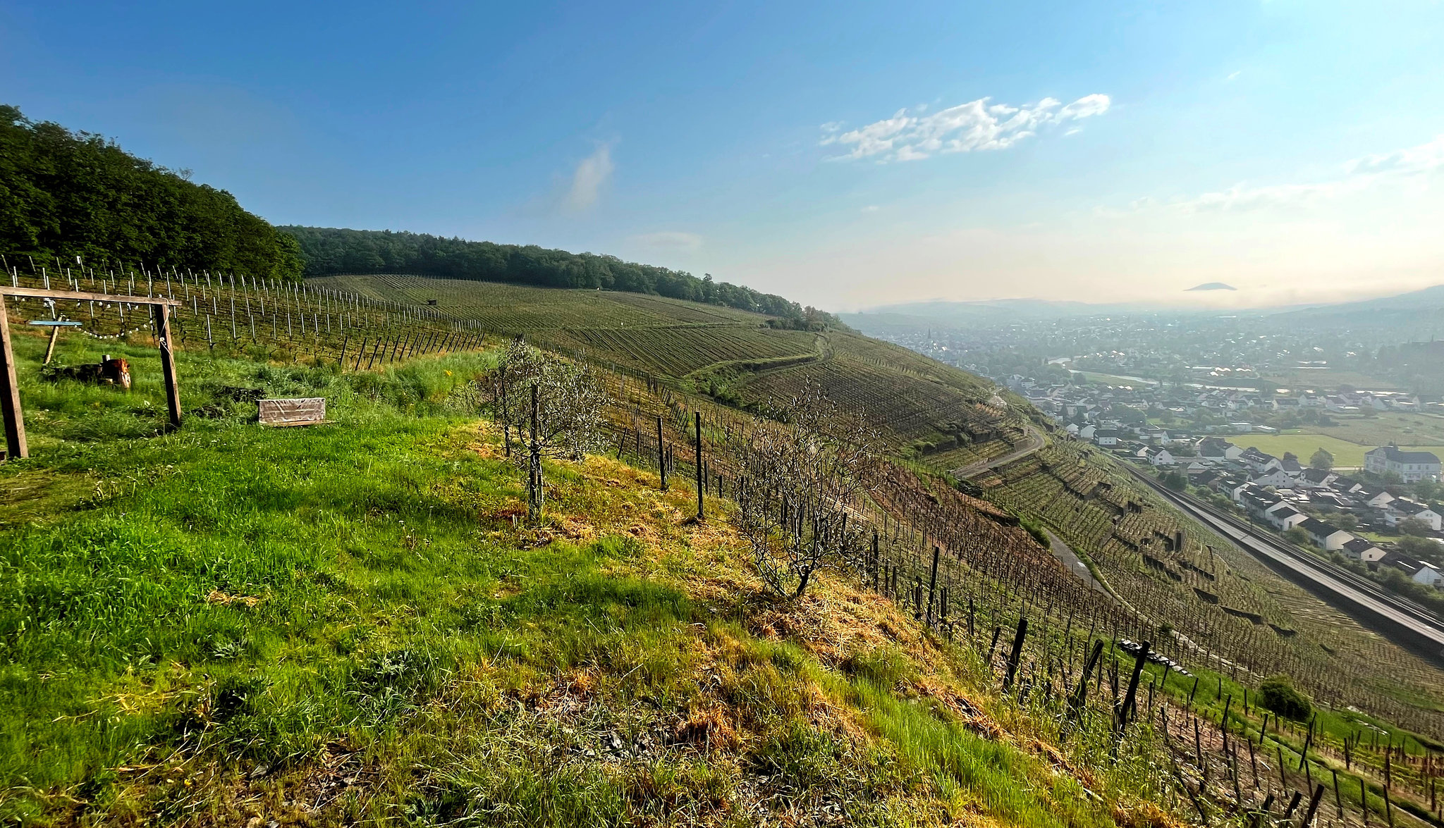 Weinberge bei Walporzheim