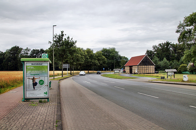 Dr.-Loeb-Caldenhof-Straße (Hamm-Westtünnen) / 6.07.2024