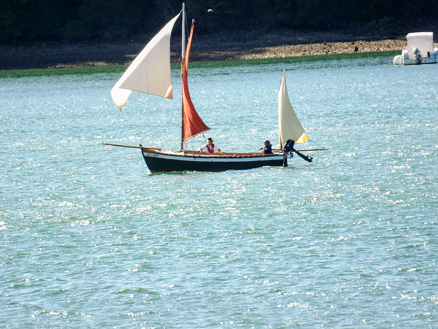 Bateau sur la Rance (22)