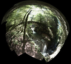 pano, pont, cascade, forêt