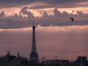 Paris Bird