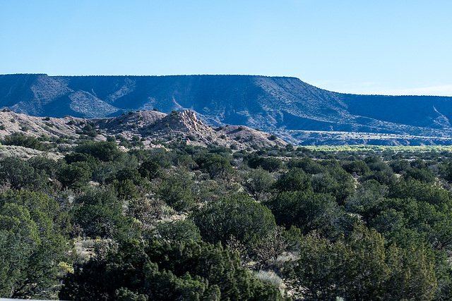 New Mexico landscape