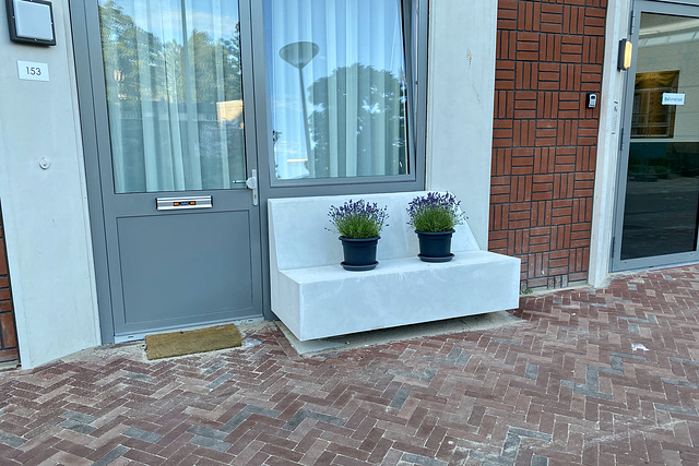 Two plants relaxing