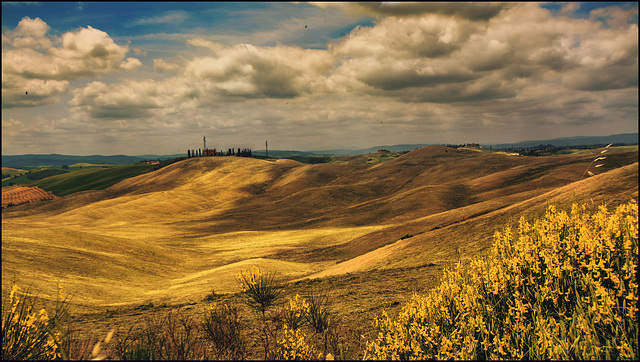 Amang The Fields Of Gold