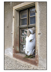 Herbst in Holzen