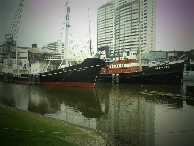 in Bremerhaven