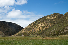 Neuseeland - Wainuiomata