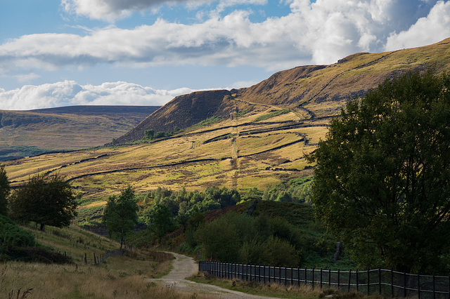 A view to the old Quarry at Crowden