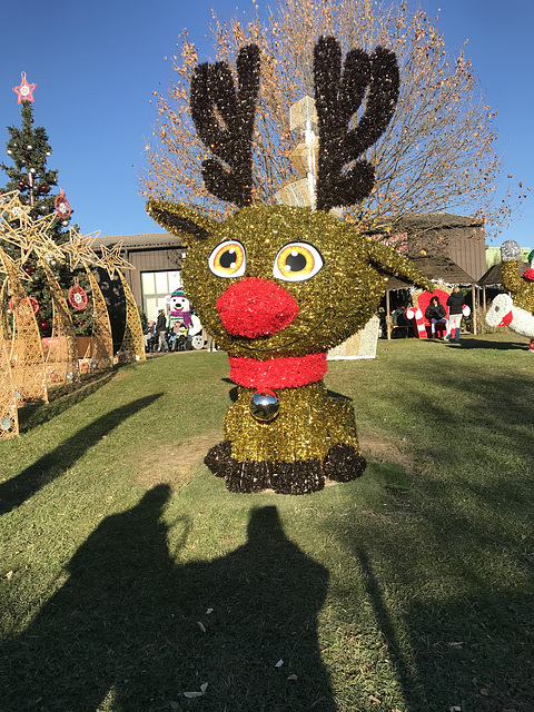 Noël a Apt chez Blachère