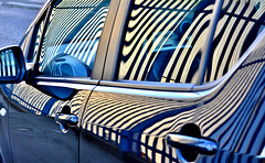 Zebra Car: Reflected Fence 2