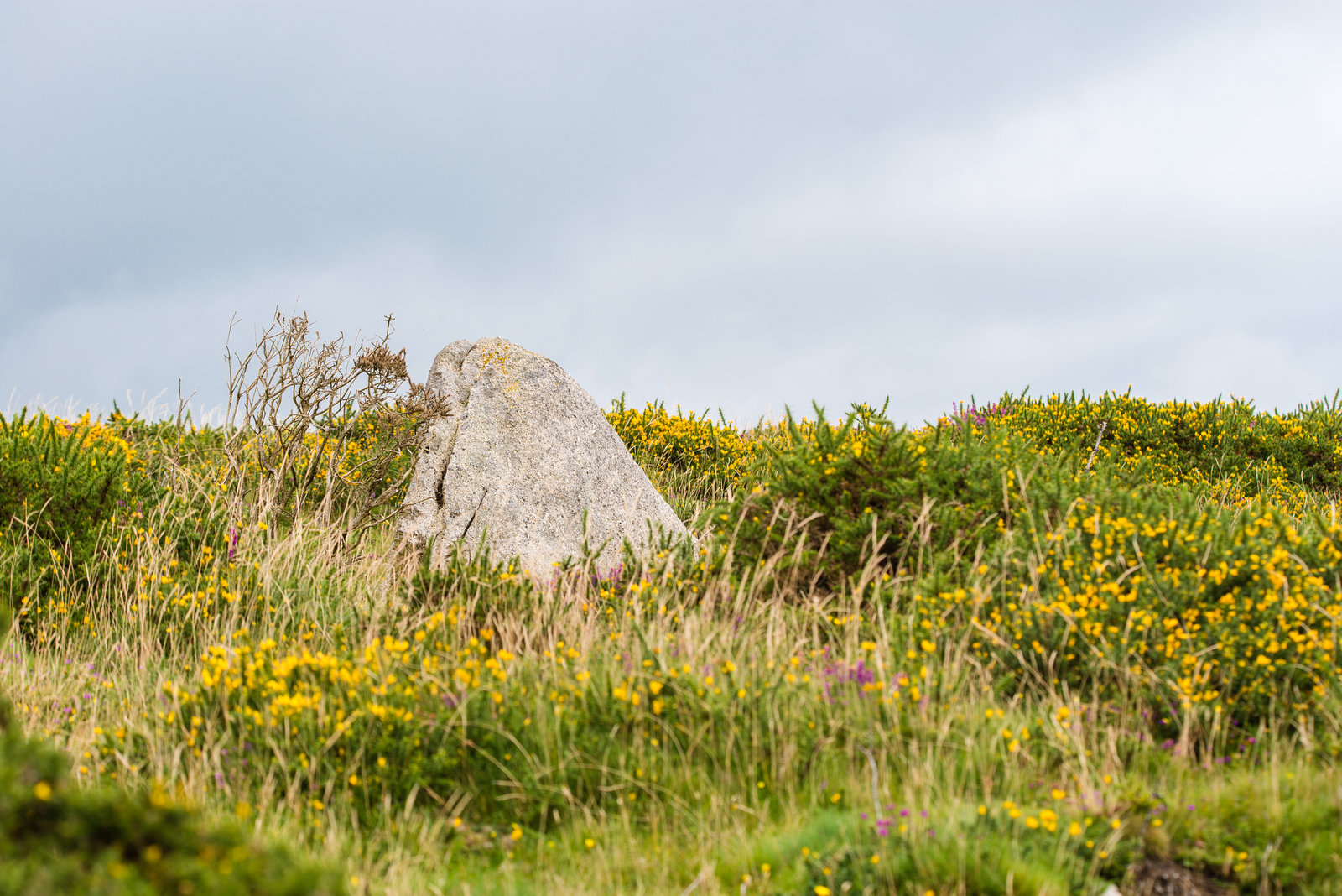 Dartmoor - 20150831