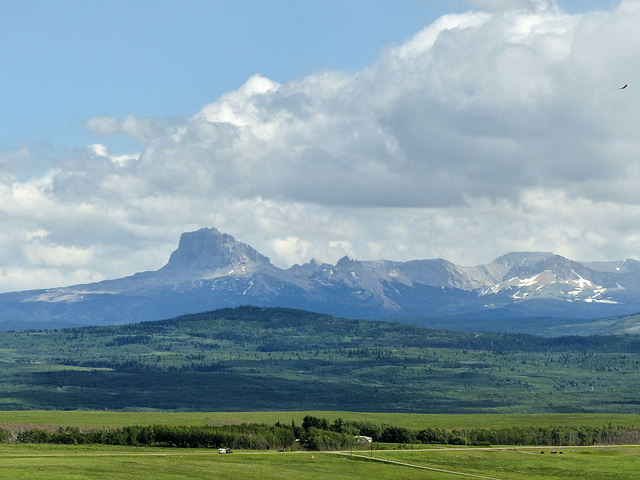 Distant view of Chief Mountain